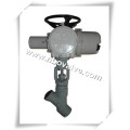 Elektrischer Stellantrieb Y Typ Globe Valve (J941Y)